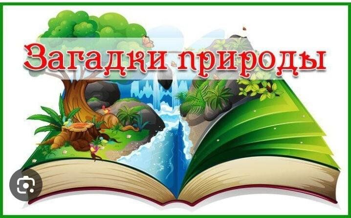 Учебно-исследовательская деятельность, повышающая качество образовательных результатов.